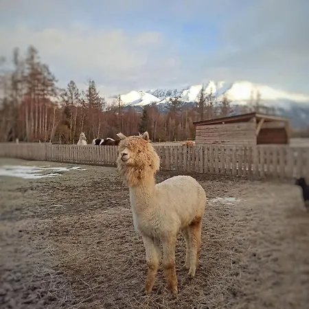 Rodinny Hubert High Tatras Hotel