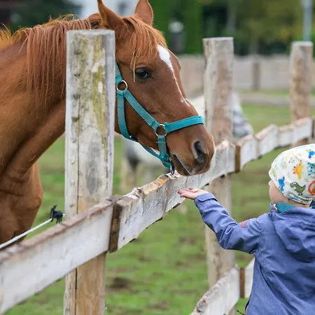 Rodinný Hubert High Tatras Hotel Vysoké Tatry