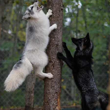 Hotel Rodinny Hubert High Tatras 4*