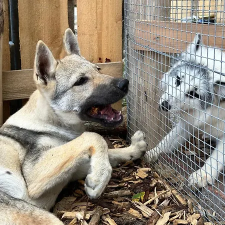Hotel Rodinny Hubert High Tatras Wysokie Tatry