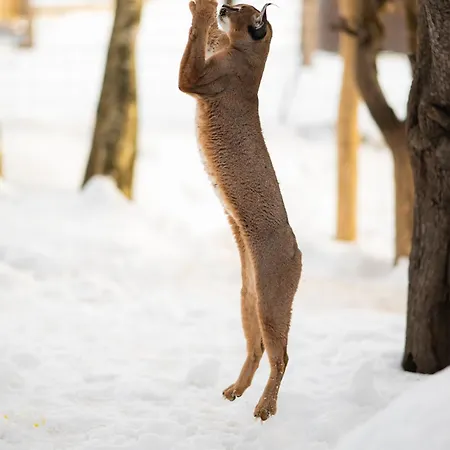 מלון Rodinny Hubert High Tatras