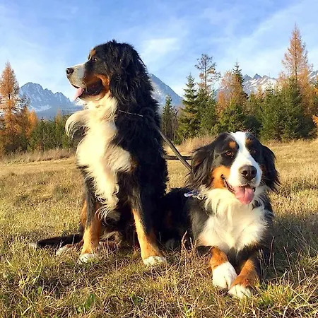 Rodinny Hubert High Tatras Szálloda Vysoké Tatry